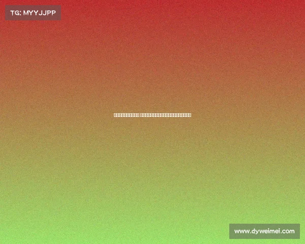 电子竞技郑鑫简历照片 郑鑫的电竞履历：从简历照片看职业生涯缩影